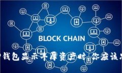 当你的TP钱包显示丰厚资产