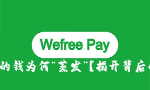 : TP钱包里的钱为何“蒸发”？揭开背后的神秘面纱！