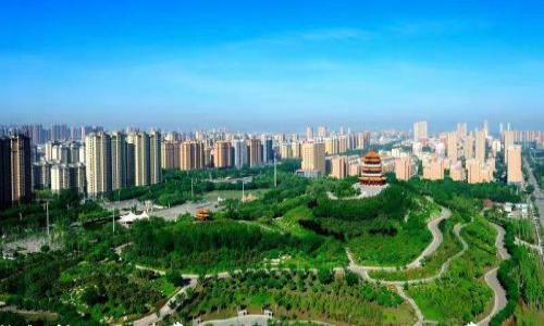 

TP钱包转账手续费揭秘：你绝对想不到的费用细节！