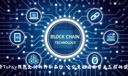 揭开ToPay钱包支付的神秘面纱：它究竟能为你带来怎样的便利？