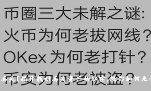 TP钱包丢失？揭开找回丢失资产的秘密，教你如何无忧恢复！