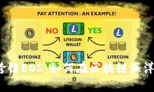 探秘TP钱包跨链EOS：如何在区块链海洋中无缝穿梭？