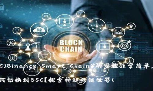 切换TP钱包至BSC（Binance Smart Chain）的步骤非常简单，下面是详细指导：

### TP钱包如何切换到BSC？探索神秘的链世界！