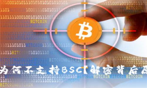 TP钱包电脑端为何不支持BSC？解密背后原因与未来展望