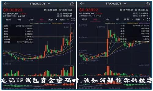  当你忘记TP钱包资金密码时，该如何解锁你的数字财富？