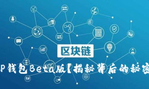 如何使用T P钱包Beta版？揭秘背后的秘密与未来展望