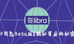 如何使用T P钱包Beta版？揭