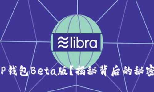 如何使用T P钱包Beta版？揭秘背后的秘密与未来展望