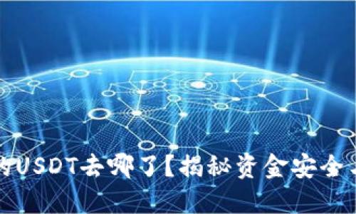 TP钱包中的USDT去哪了？揭秘资金安全与充提技巧