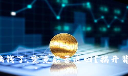 TP钱包被骗钱了，究竟能否追回？揭开背后的真相！