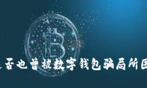 你是否也曾被数字钱包骗局所困扰？