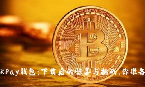 : 揭秘OKPay钱包：下载后的惊喜与挑战，你准备好了吗？