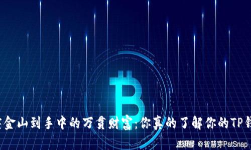 从一座金山到手中的万贯财富：你真的了解你的TP钱包吗？
