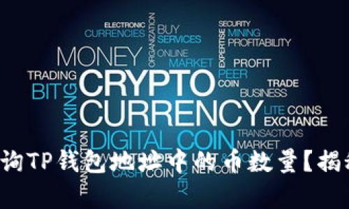 如何精准查询TP钱包地址中的币数量？揭秘简单步骤！