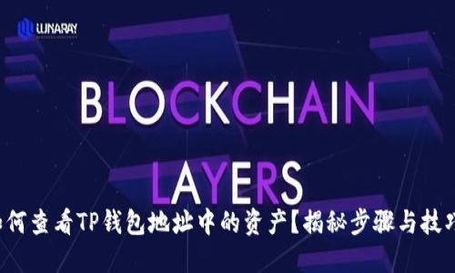 如何查看TP钱包地址中的资产？揭秘步骤与技巧！