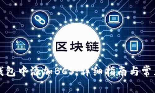 如何在TP钱包中添加BCS：详细指南与常见问题解答