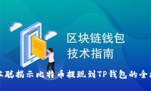 中本聪揭示比特币提现到TP钱包的全攻略