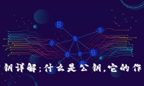 : TP钱包公钥详解:什么是公钥,它的作用及安全性