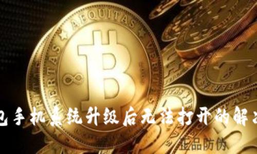 TP钱包手机系统升级后无法打开的解决方案