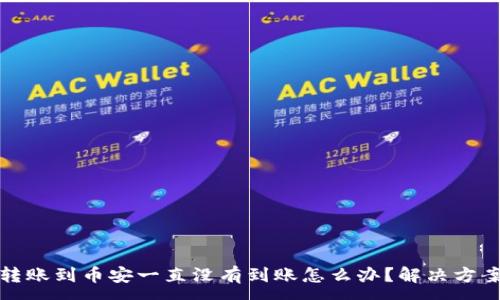 :
TP钱包转账到币安一直没有到账怎么办？解决方案与攻略