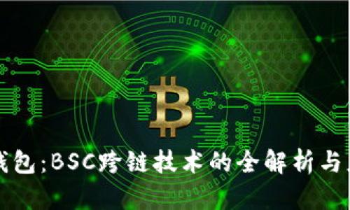 TP钱包：BSC跨链技术的全解析与应用