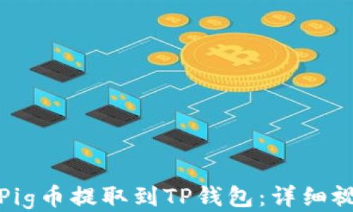 
如何将Pig币提取到TP钱包：详细视频教程