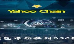 如何在TP钱包中切换到BS