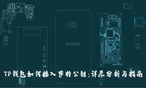 TP钱包如何接入萨特公链：详尽分析与指南