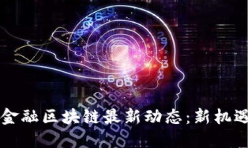 广州市金融区块链最新动态：新机遇与挑战