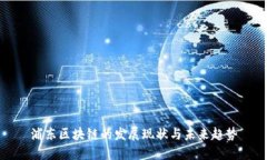 浦东区块链的发展现状与