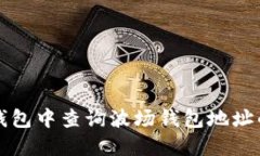 如何在TP钱包中查询波场钱