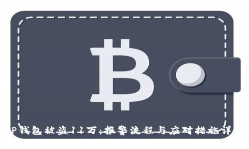 TP钱包被盗11万：报警流程与应对措施详解