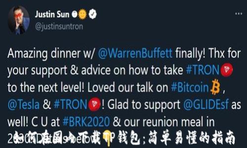 
如何在国内下载TP钱包：简单易懂的指南