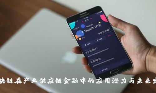 区块链在产业供应链金融中的应用潜力与未来发展