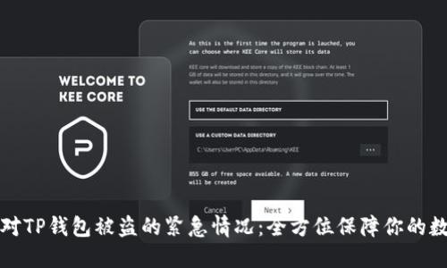 如何应对TP钱包被盗的紧急情况：全方位保障你的数字资产