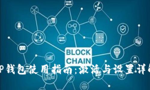 TP钱包使用指南：激活与设置详解