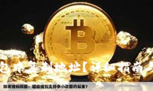 如何在 TP 钱包中复制地址？详细指南与常见问题解答