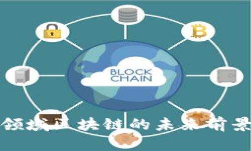 金融领域区块链的未来前景解析