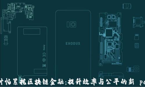 
深入探讨帕累托区块链金融：提升效率与公平的新 paradigm