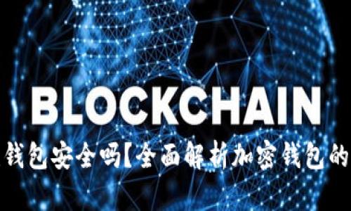 TP创建钱包安全吗？全面解析加密钱包的安全性
