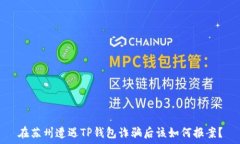   在苏州遭遇TP钱包诈骗后