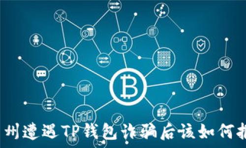   
在苏州遭遇TP钱包诈骗后该如何报案？