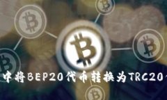 如何在TP钱包中将BEP20代币