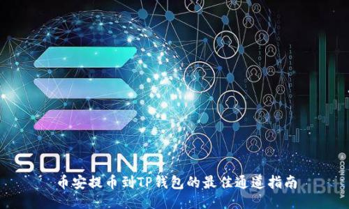 币安提币到TP钱包的最佳通道指南