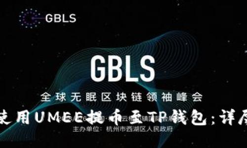 如何使用UMEE提币至TP钱包：详尽指南