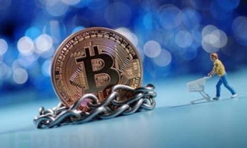

探索比特币钱包：哪款TP钱包承载最多的比特币？