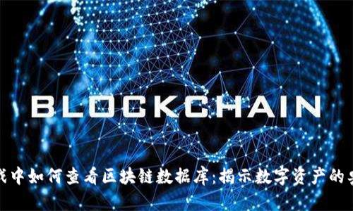 游戏中如何查看区块链数据库：揭示数字资产的奥秘