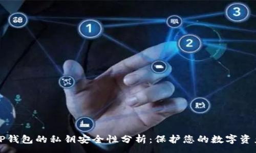 :
TP钱包的私钥安全性分析：保护您的数字资产