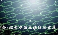 金融革命：探索中国区块