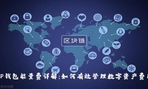 TP钱包能量费详解：如何有效管理数字资产费用